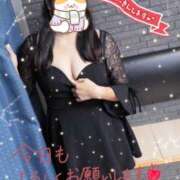 ヒメ日記 2025/02/23 11:30 投稿 ゆき 山口周南ちゃんこ