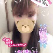 ヒメ日記 2025/02/26 15:02 投稿 ゆき 山口周南ちゃんこ