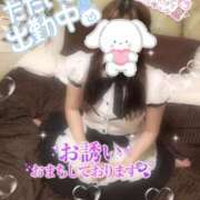 ヒメ日記 2025/03/11 16:09 投稿 ゆき 山口周南ちゃんこ