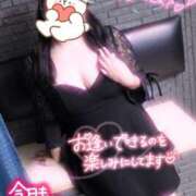 ヒメ日記 2025/03/12 12:30 投稿 ゆき 山口周南ちゃんこ