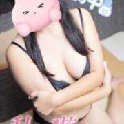 ヒメ日記 2025/04/29 15:15 投稿 ゆき 山口周南ちゃんこ