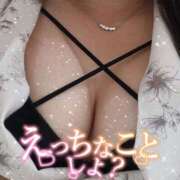 ヒメ日記 2025/06/24 15:01 投稿 ゆき 山口周南ちゃんこ