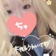 ヒメ日記 2024/12/12 22:27 投稿 まこ 京都祇園・南インターちゃんこ