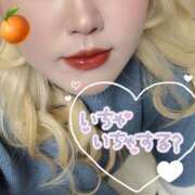 ヒメ日記 2024/12/13 14:51 投稿 まこ 京都祇園・南インターちゃんこ