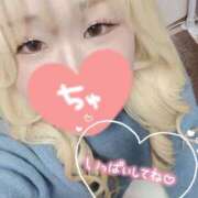 ヒメ日記 2024/12/13 17:16 投稿 まこ 京都祇園・南インターちゃんこ