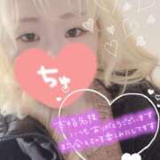 ヒメ日記 2024/12/16 22:03 投稿 まこ 京都祇園・南インターちゃんこ