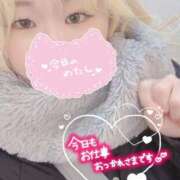 ヒメ日記 2024/12/18 22:00 投稿 まこ 京都祇園・南インターちゃんこ