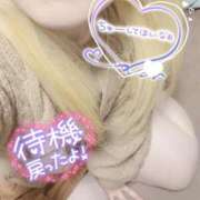 ヒメ日記 2024/12/27 21:01 投稿 まこ 京都祇園・南インターちゃんこ