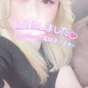 ヒメ日記 2025/01/06 11:41 投稿 まこ 京都祇園・南インターちゃんこ