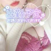 ヒメ日記 2025/01/28 17:40 投稿 まこ 京都祇園・南インターちゃんこ