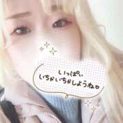 ヒメ日記 2025/01/31 15:14 投稿 まこ 京都祇園・南インターちゃんこ