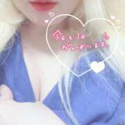 ヒメ日記 2025/02/08 07:16 投稿 まこ 京都祇園・南インターちゃんこ