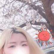 ヒメ日記 2025/03/30 13:59 投稿 まこ 京都祇園・南インターちゃんこ