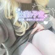 ヒメ日記 2025/04/01 22:31 投稿 まこ 京都祇園・南インターちゃんこ