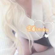 ヒメ日記 2025/04/13 21:31 投稿 まこ 京都祇園・南インターちゃんこ