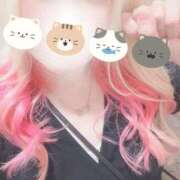 ヒメ日記 2025/06/15 19:05 投稿 まこ 京都祇園・南インターちゃんこ