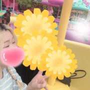 ヒメ日記 2025/07/06 20:22 投稿 まこ 京都祇園・南インターちゃんこ