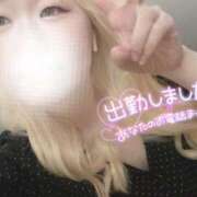 ヒメ日記 2025/07/17 12:54 投稿 まこ 京都祇園・南インターちゃんこ