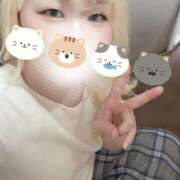 ヒメ日記 2025/07/28 12:15 投稿 まこ 京都祇園・南インターちゃんこ