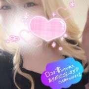 ヒメ日記 2025/09/17 17:31 投稿 まこ 京都祇園・南インターちゃんこ