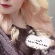 ヒメ日記 2025/10/27 12:09 投稿 まこ 京都祇園・南インターちゃんこ