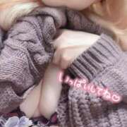 ヒメ日記 2025/10/27 17:42 投稿 まこ 京都祇園・南インターちゃんこ