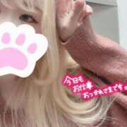 ヒメ日記 2025/11/07 17:44 投稿 まこ 京都祇園・南インターちゃんこ