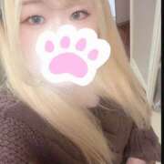 ヒメ日記 2025/11/08 23:16 投稿 まこ 京都祇園・南インターちゃんこ