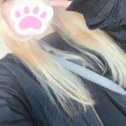 ヒメ日記 2025/11/12 13:09 投稿 まこ 京都祇園・南インターちゃんこ