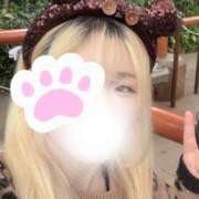 ヒメ日記 2025/11/13 21:31 投稿 まこ 京都祇園・南インターちゃんこ