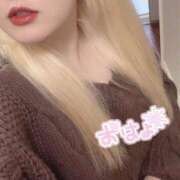 ヒメ日記 2025/11/15 08:37 投稿 まこ 京都祇園・南インターちゃんこ