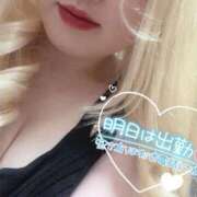 ヒメ日記 2025/11/21 00:19 投稿 まこ 京都祇園・南インターちゃんこ