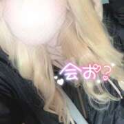 ヒメ日記 2025/11/21 11:32 投稿 まこ 京都祇園・南インターちゃんこ