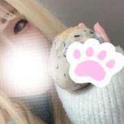 ヒメ日記 2025/12/21 22:05 投稿 まこ 京都祇園・南インターちゃんこ