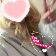 ヒメ日記 2025/12/23 21:46 投稿 まこ 京都祇園・南インターちゃんこ