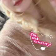 ヒメ日記 2025/12/26 18:11 投稿 まこ 京都祇園・南インターちゃんこ