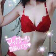 ヒメ日記 2025/03/12 14:03 投稿 メイ 渋谷蘭の会