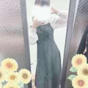 ヒメ日記 2024/12/12 17:57 投稿 ひまわり スパーク日本橋