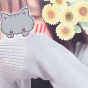 ヒメ日記 2024/12/13 09:45 投稿 ひまわり スパーク日本橋