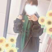 ヒメ日記 2024/12/13 18:15 投稿 ひまわり スパーク日本橋