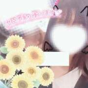 ヒメ日記 2024/12/14 11:30 投稿 ひまわり スパーク日本橋