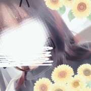 ヒメ日記 2024/12/15 18:45 投稿 ひまわり スパーク日本橋