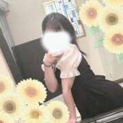 ヒメ日記 2024/12/17 18:00 投稿 ひまわり スパーク日本橋