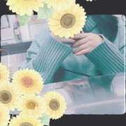 ヒメ日記 2024/12/17 19:45 投稿 ひまわり スパーク日本橋