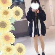 ヒメ日記 2024/12/18 01:00 投稿 ひまわり スパーク日本橋