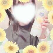 ヒメ日記 2024/12/18 01:25 投稿 ひまわり スパーク日本橋