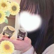 ヒメ日記 2024/12/19 10:54 投稿 ひまわり スパーク日本橋