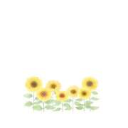 ヒメ日記 2024/12/19 23:11 投稿 ひまわり スパーク日本橋