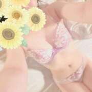 ヒメ日記 2024/12/20 12:45 投稿 ひまわり スパーク日本橋