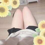 ヒメ日記 2024/12/21 18:01 投稿 ひまわり スパーク日本橋